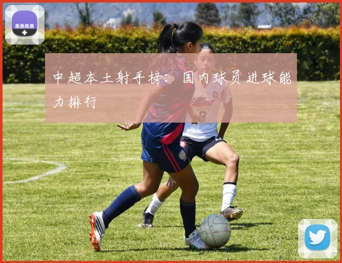 中超本土射手榜：国内球员进球能力排行