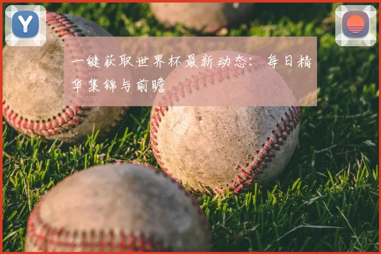 一键获取世界杯最新动态：每日精华集锦与前瞻