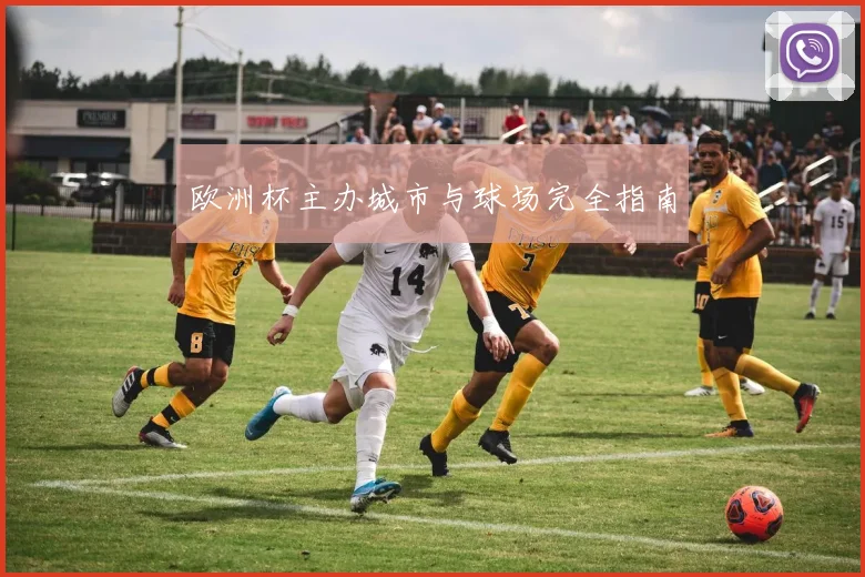 欧洲杯主办城市与球场完全指南