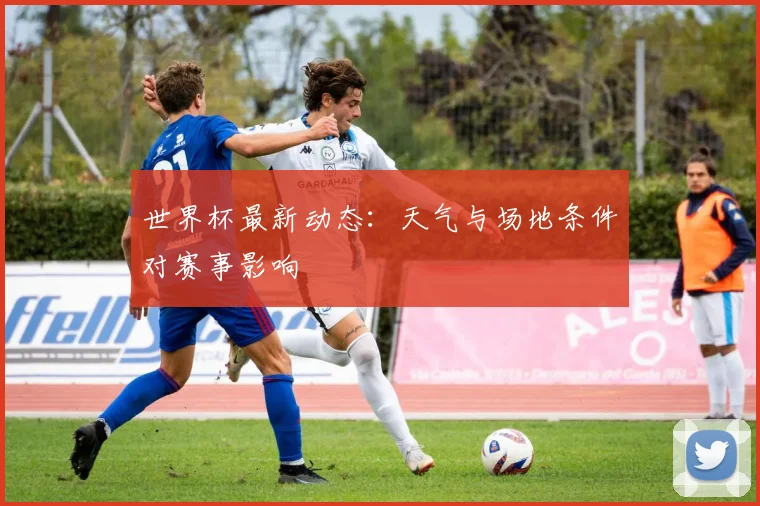 世界杯最新动态：天气与场地条件对赛事影响